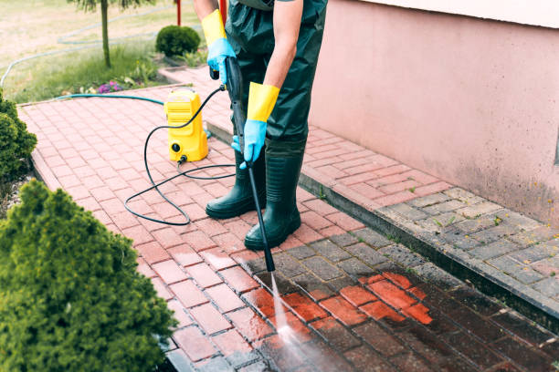 Best Exterior Home Cleaning  in Hornsby Bend, TX